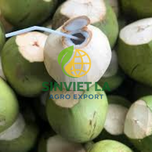 Dừa